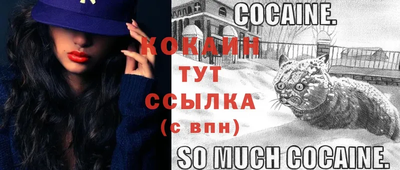 цена наркотик  Гай  COCAIN Боливия 